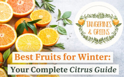 Best Fruits for Winter: Your Complete Citrus Guide